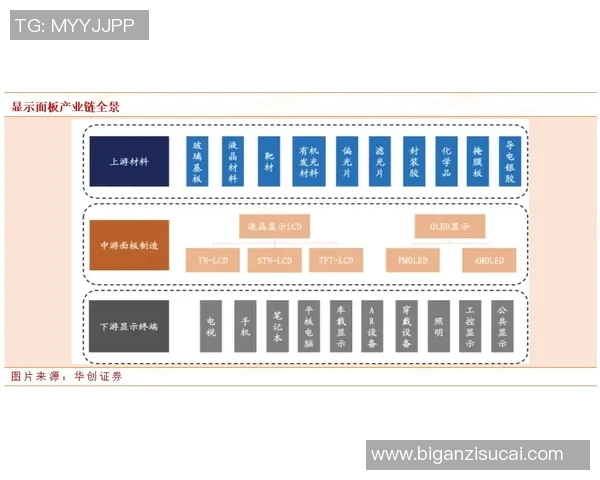 运动康复领域的新趋势与挑战：提升运动员恢复速度与效果的创新方法