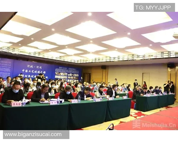 舞蹈艺术的魅力与传承探索：从传统到现代的跨越与创新之路